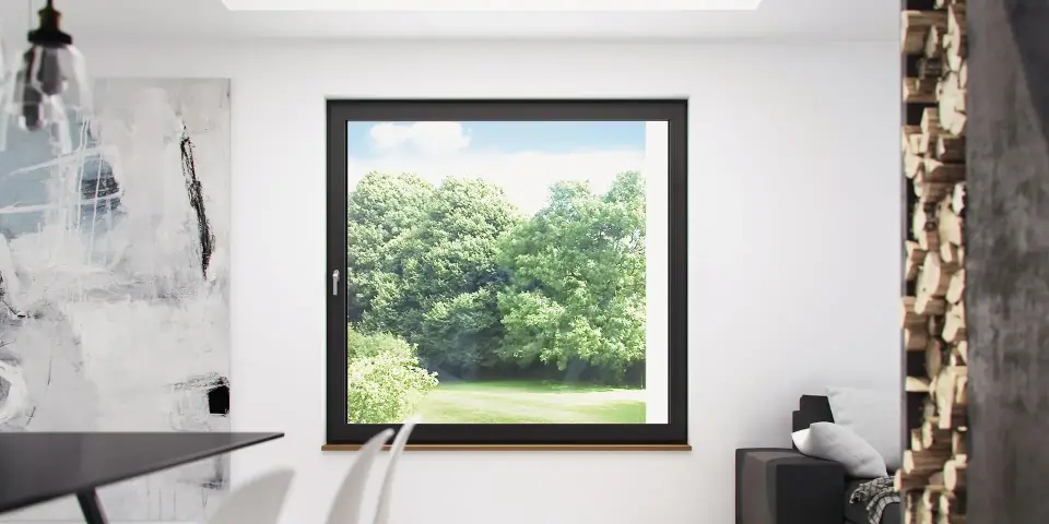 Windows standardwindow image